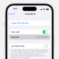 How to Check WiFi Data Usage on iPhone? 12