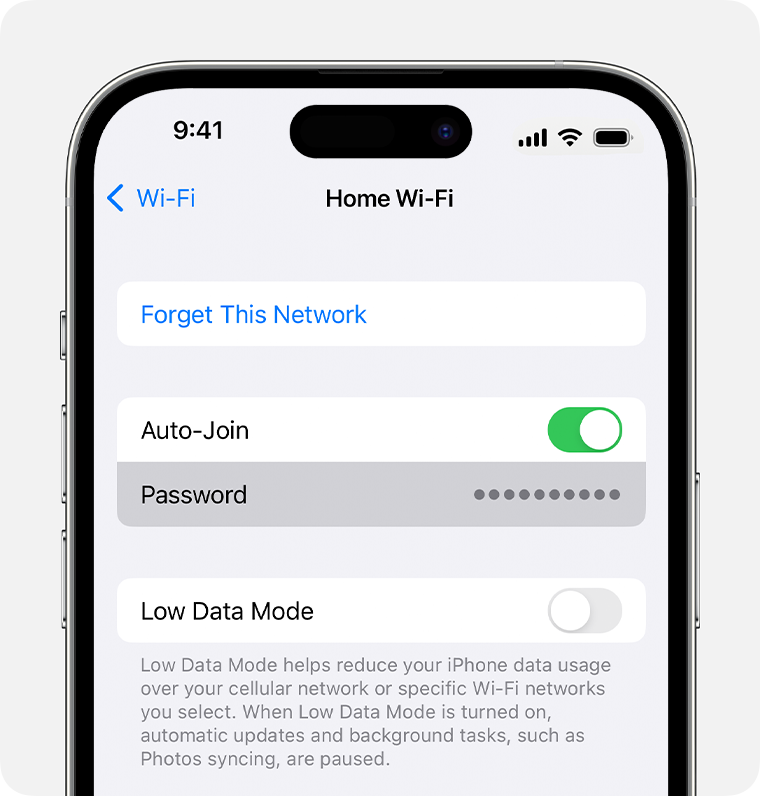 How to Check WiFi Data Usage on iPhone? 1