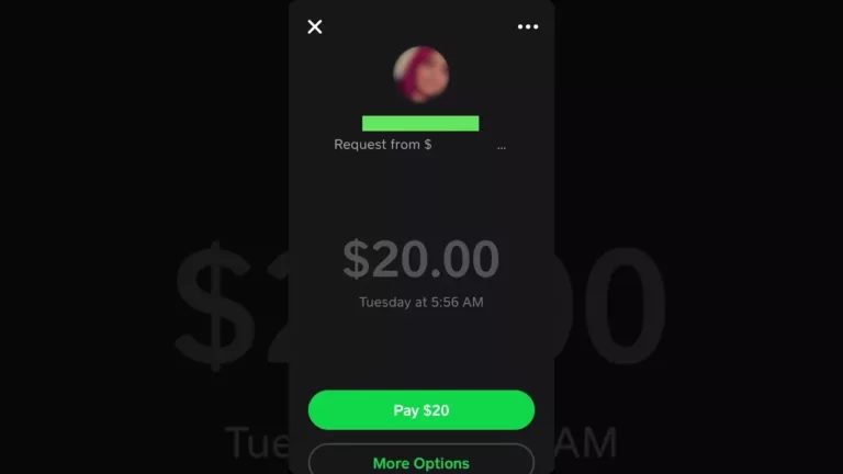 How to Decline a Cash App Payment? 1