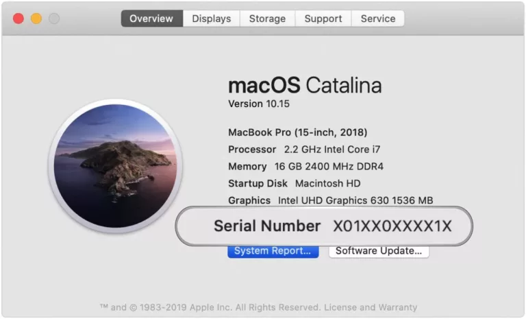 How to Find Your Apple Device's Manufacture Date Using Its Serial Number? 1