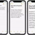 How to Change Font Style on Your iPhone 11? 5