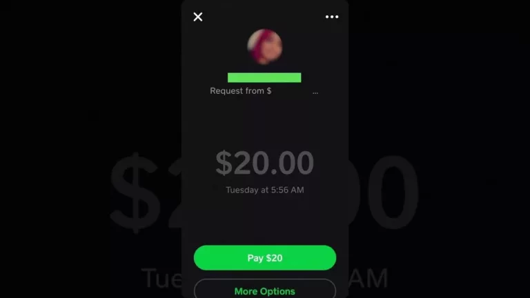 How to Decline Cash App Request? 19