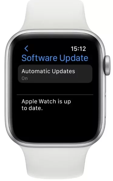 How To Clean Speaker On Apple Watch 5