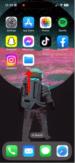 How to View Your Safari's Download History? 5