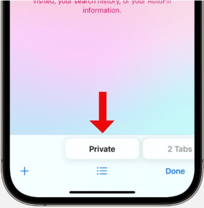 iPhone Settings screen with Safari menu highlighted