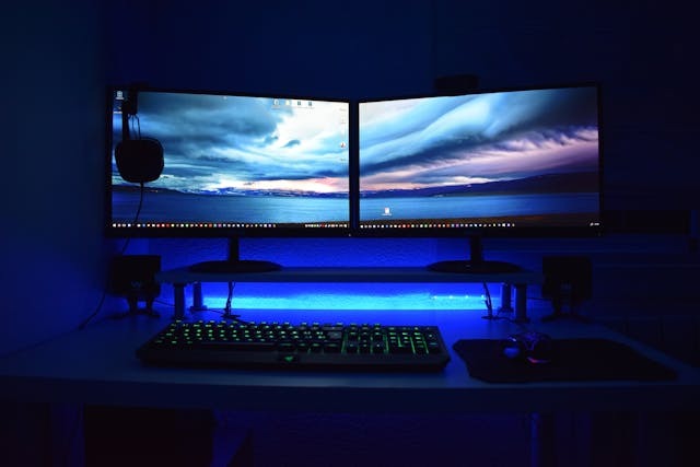 How To Tell What Monitor I Have