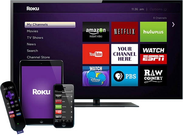 Introduction to Roku Remote for Mac 1