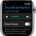 How To Set Ringtone On Your Apple Watch 13